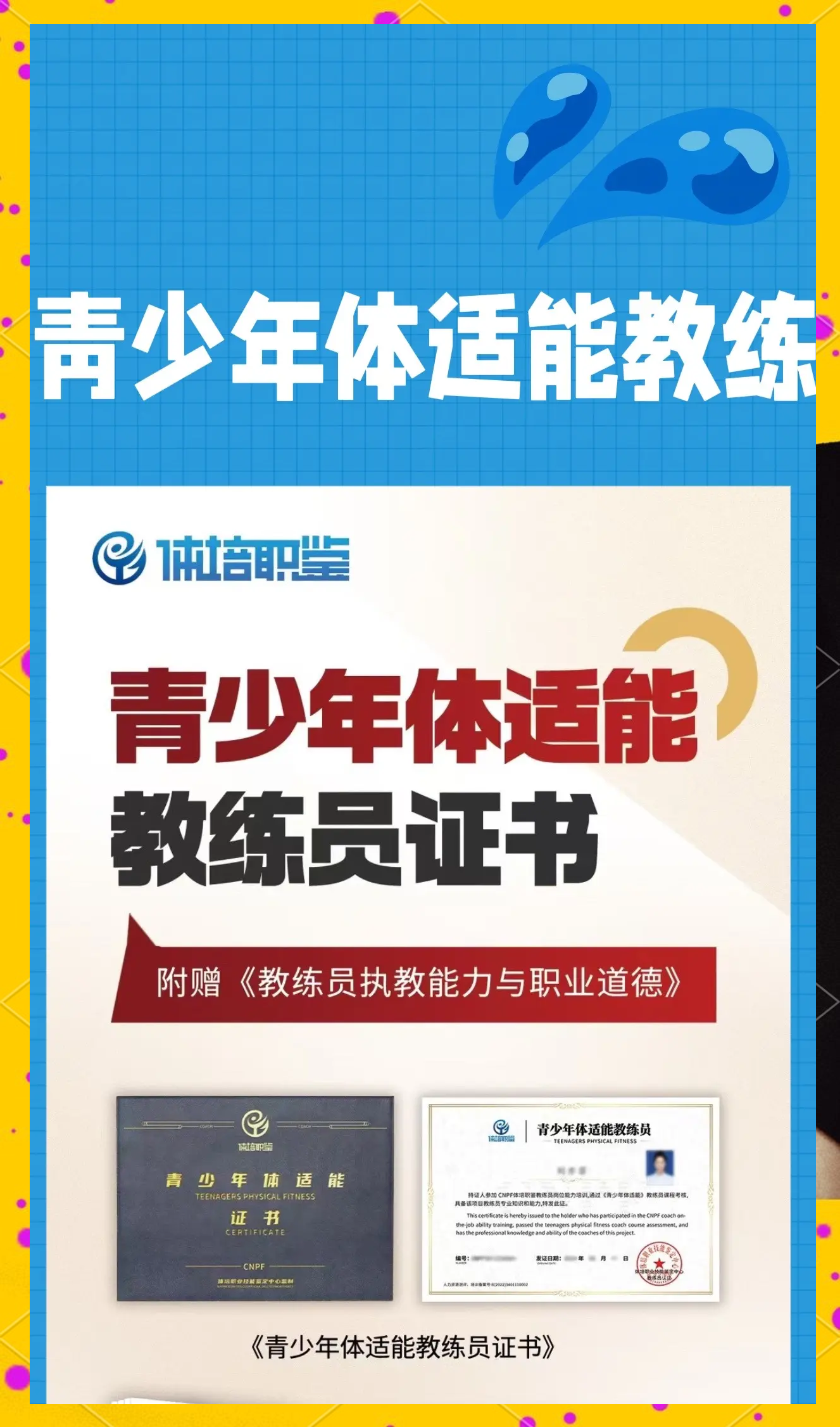传统与创新结合：新一代教练带来的战术变革