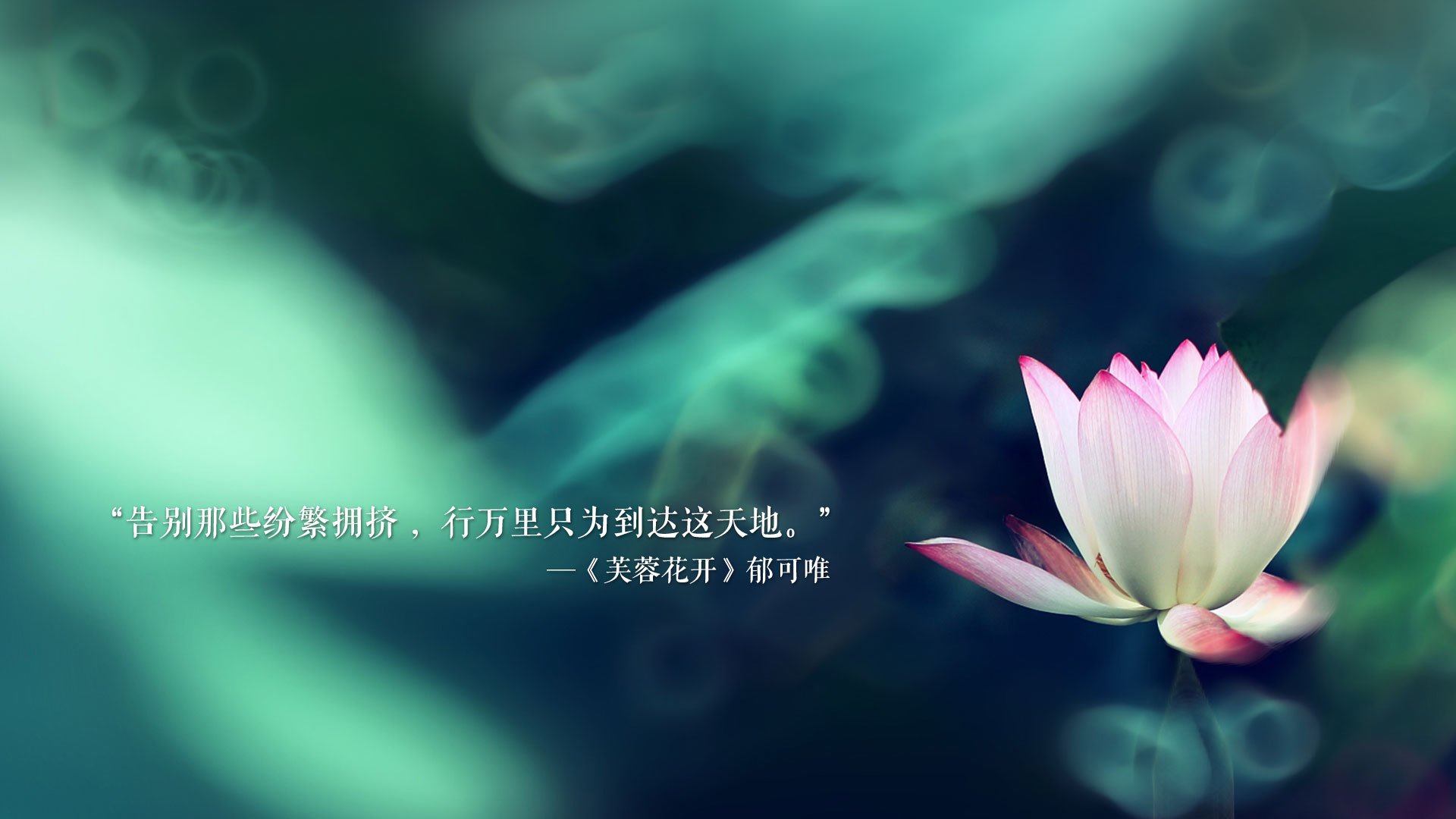 南特官宣签下喀麦隆国脚，期待他在球队崭露头角，南特是哪个国家