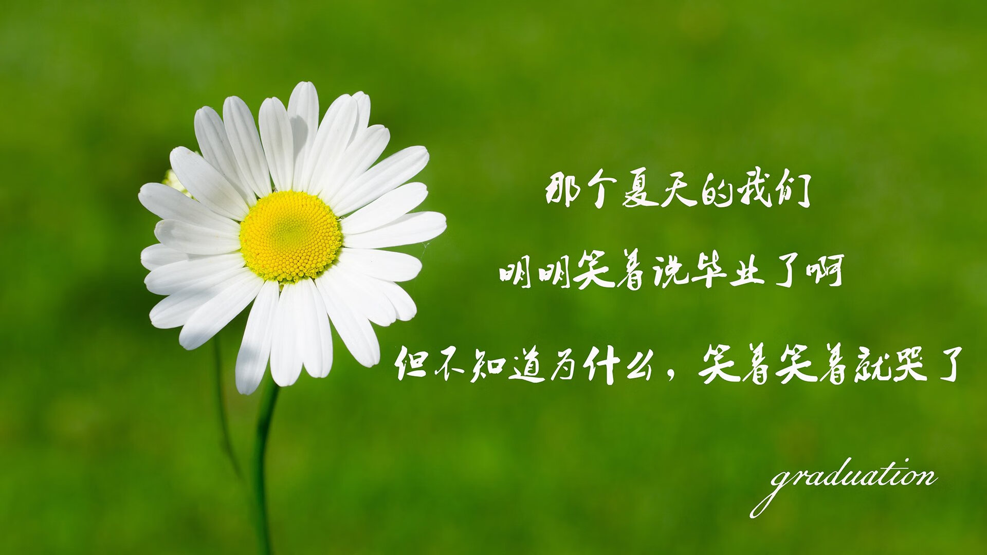 电竞游戏社区的多元文化融合探讨，电竞游戏的社会