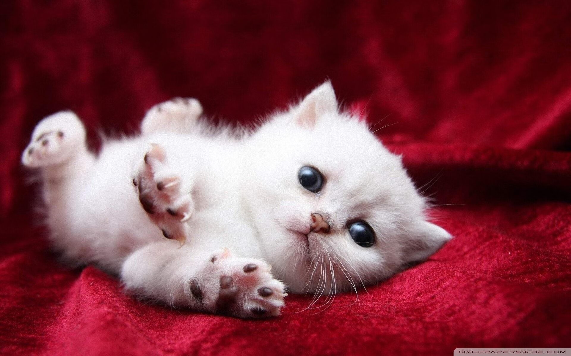 九游网页版入口-普劳德以出色成绩晋级决赛，劳埃德·普莱斯