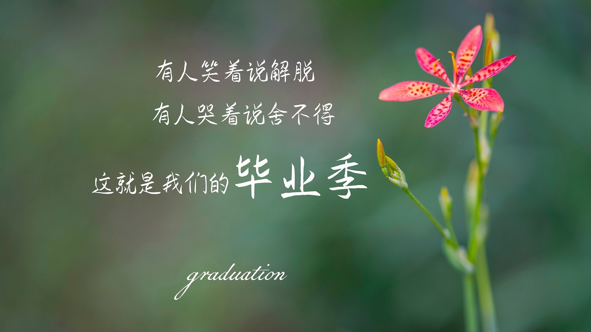 九游娱乐(jiuyou)官方网站-朱婷赛场怒吼提振全队士气，朱婷打比赛视频