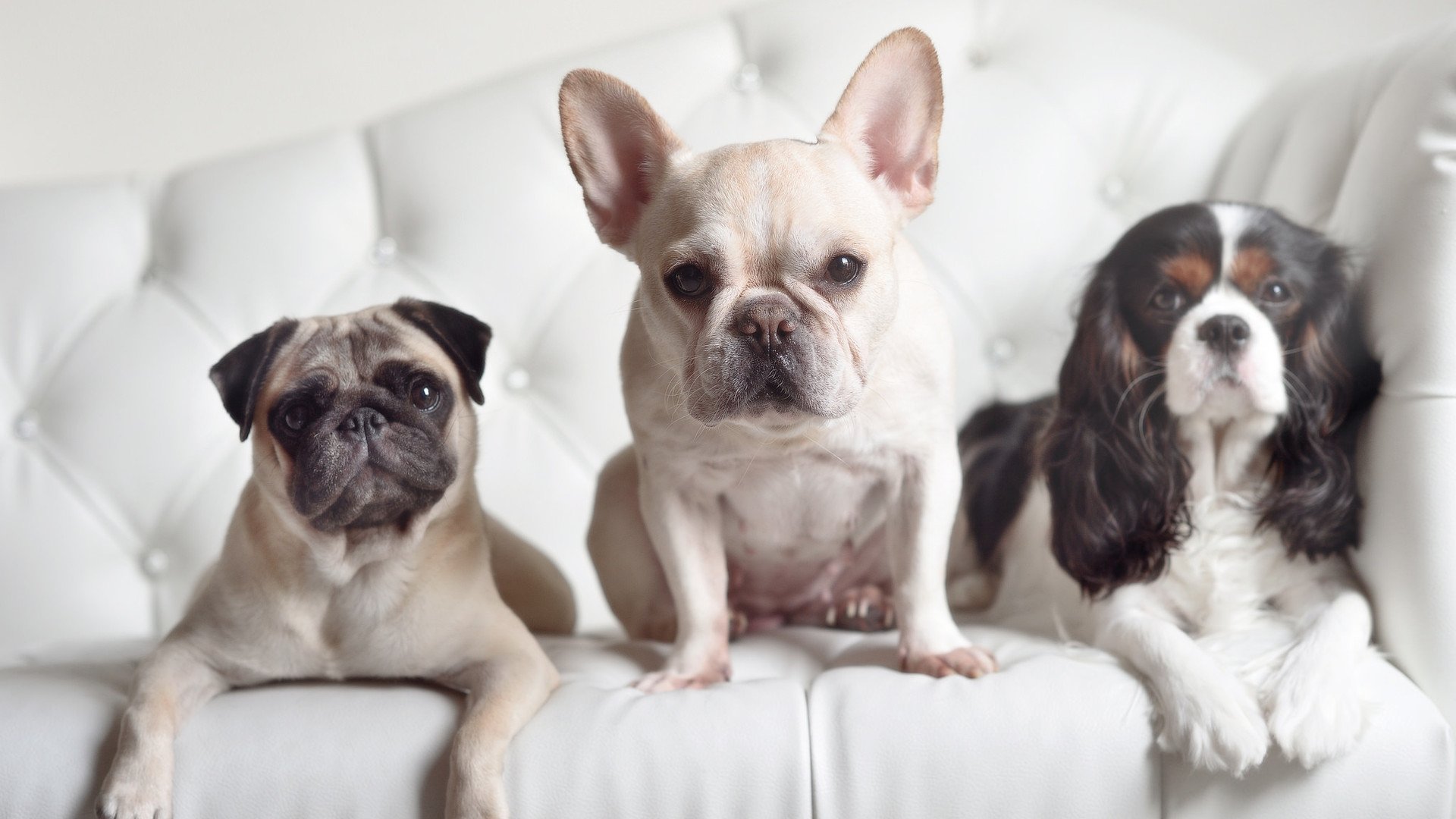 九游游戏中心-欧洲杯终极决战：战术变革带来奇迹！，欧洲杯终局战2021欧洲杯赛程表