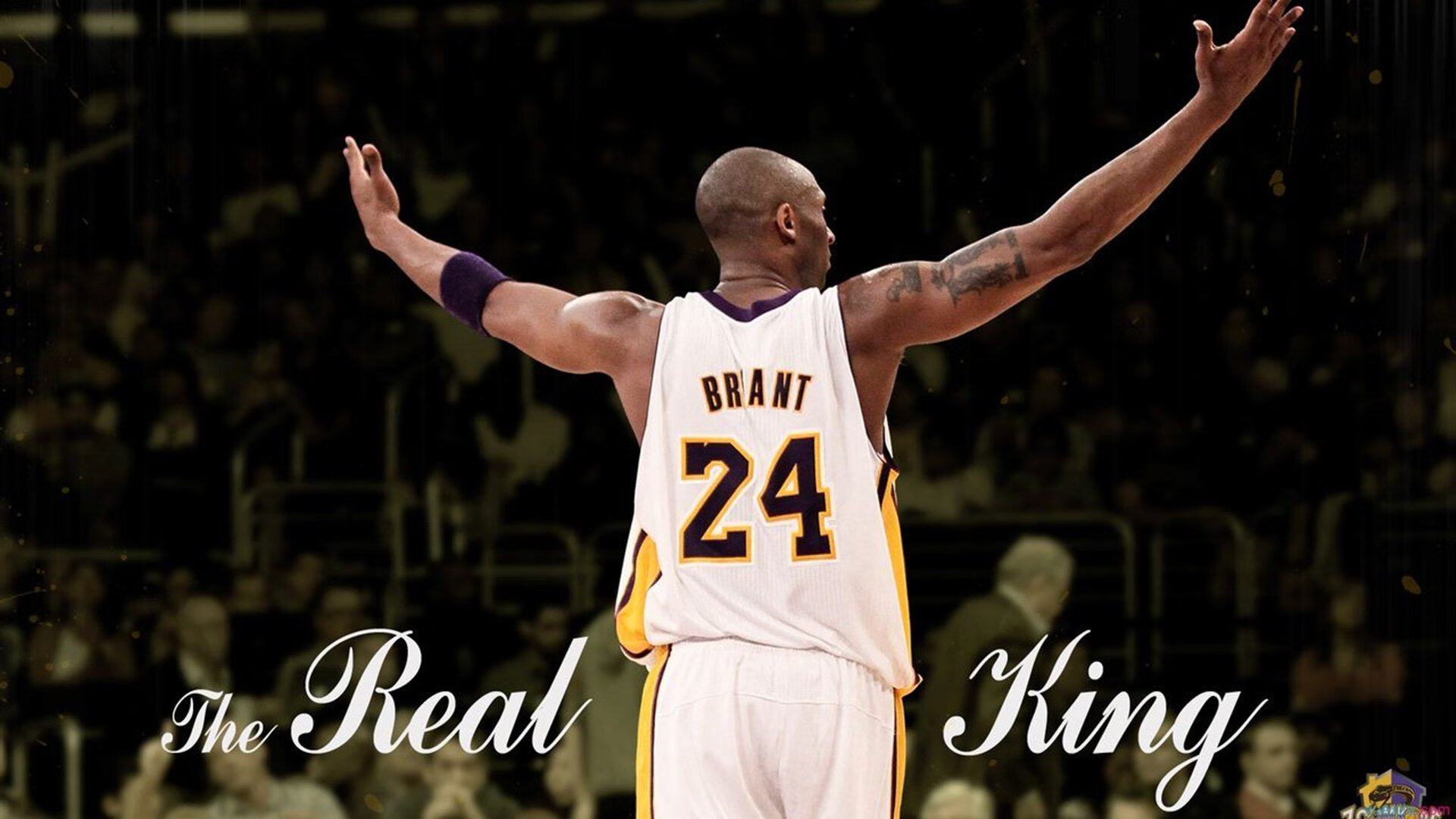 九游网-【球迷盛宴】现场气氛爆棚的棒球赛事回顾，棒球比赛