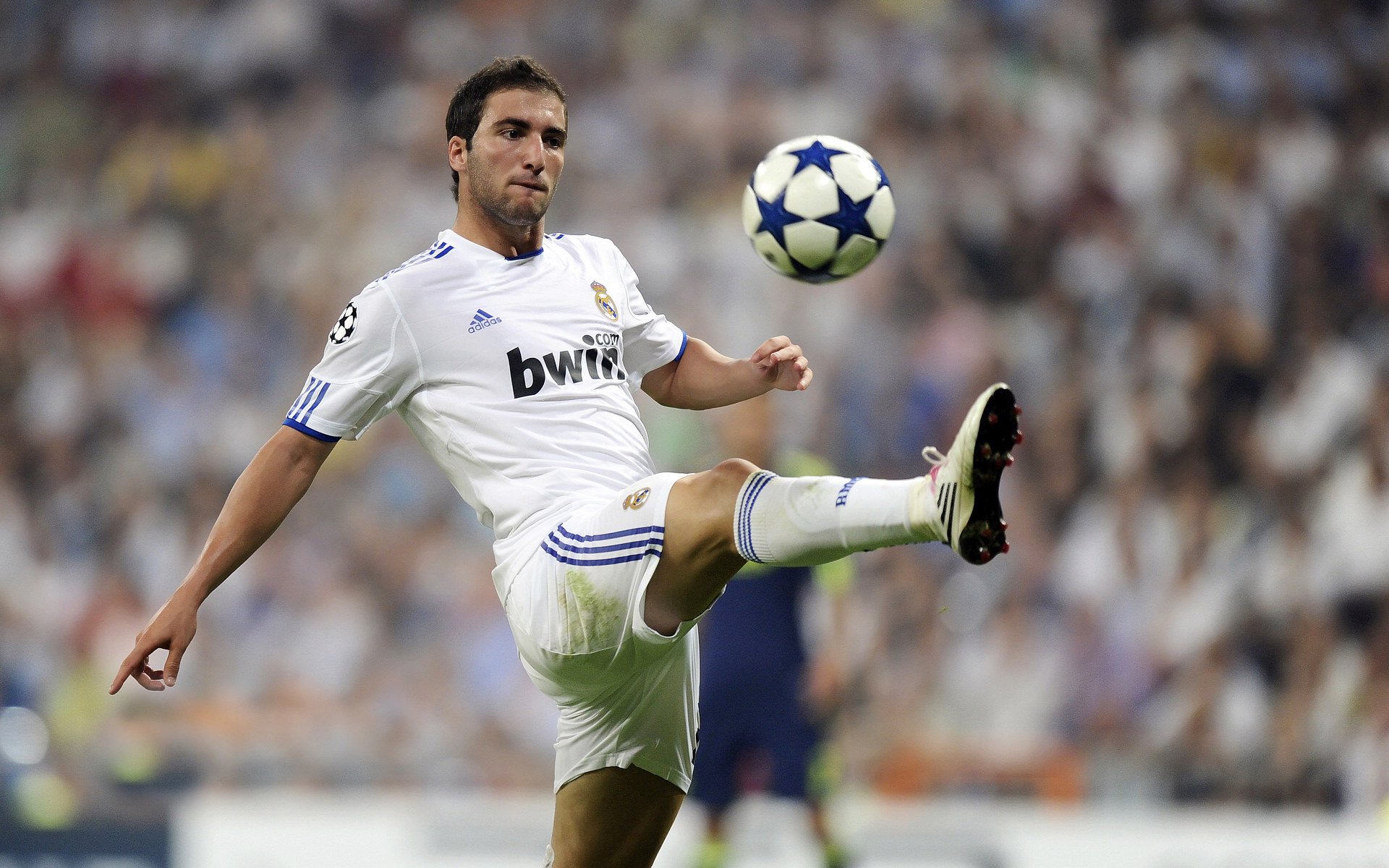 德甲激战，球迷期待未来，德甲足球集锦